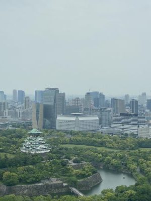 IMG_9486